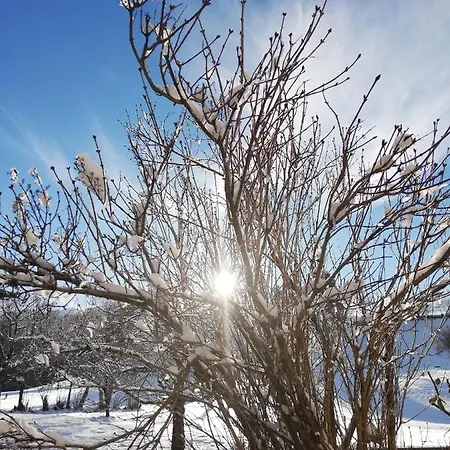 Woetzinghof Lantgård Kirchberg in Tirol