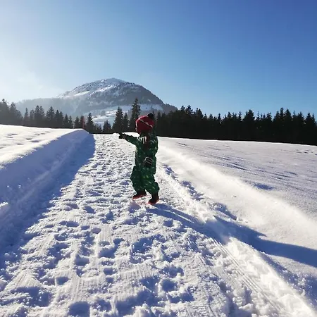 Lantgård Woetzinghof Kirchberg in Tirol