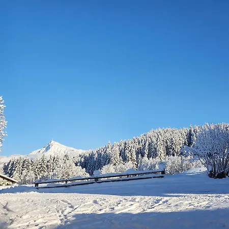 Woetzinghof Farma Kirchberg in Tirol