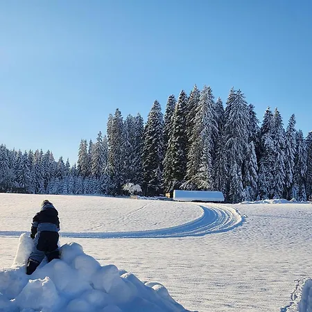 Wötzinghof Kirchberg in Tirol