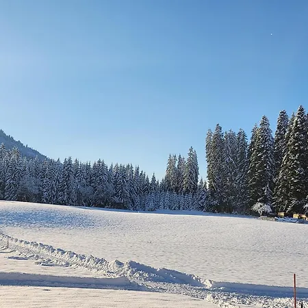 Wötzinghof Kirchberg in Tirol