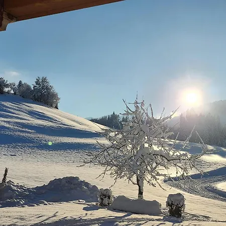 Woetzinghof Farmház Kirchberg in Tirol