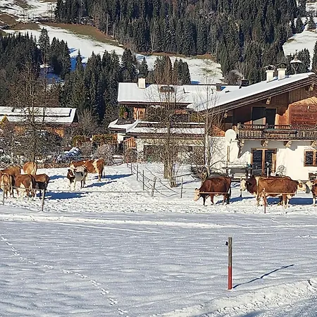 Wötzinghof * Kirchberg in Tirol