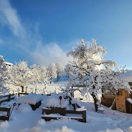 Woetzinghof كيرشبرغ ان تيرول